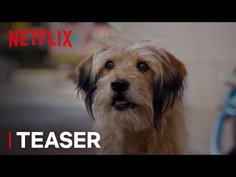 Benji | Official Teaser [HD] | Netflix