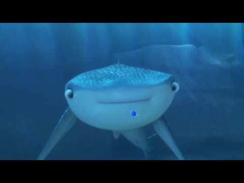 Trailer 2 - Procurando Dory - 30 de junho de 2016