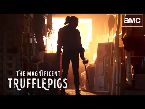 The Magnificent Trufflepigs: Live Action | Official Trailer | AMC Games