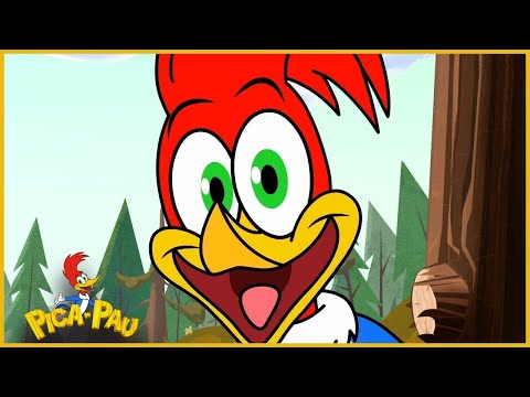 Pica-Pau em Português | Promo da Nova Série de Pica-Pau No YouTube | Desenhos Animados