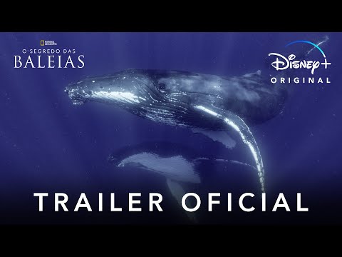 O Segredo das Baleias | Trailer Oficial | Disney+