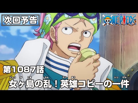 ONE PIECE 1087話予告「女ヶ島の乱！英雄コビーの一件」