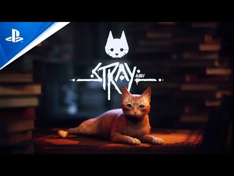 Stray - Trailer