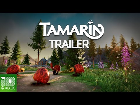 Tamarin - Release Trailer