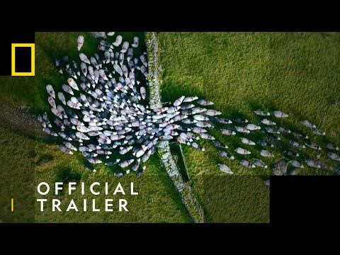 Europe From Above | Official Trailer - Elevate Your Perspective | National Geographic UK