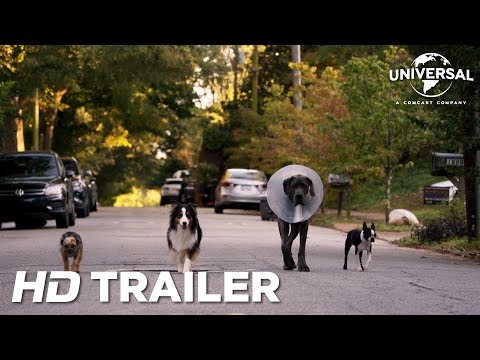 RUIM PRA CACHORRO | Trailer Oficial (Universal Studios) - HD