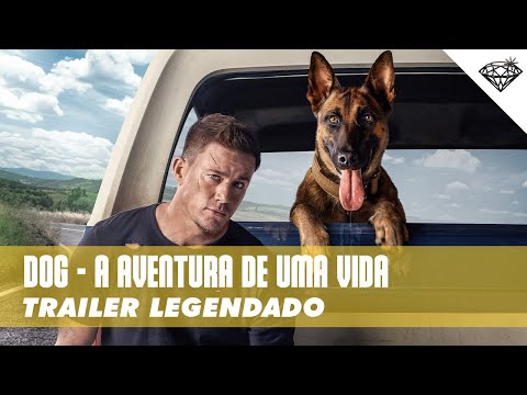 DOG - A Aventura de Uma Vida | Trailer Legendado