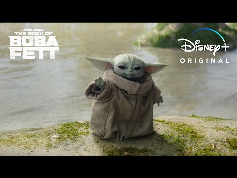 Stranger | The Book of Boba Fett | Disney+