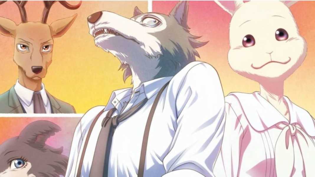 Beastars Terceira temporada é confirmada pelo Studio Orange