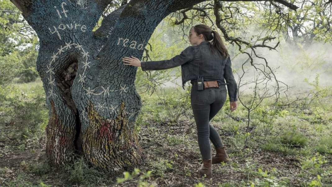 fear the walking dead ver online fear the walking dead 7x15 fear the walking dead 7x15 online fear the walking dead 7x15 legendado fear the walking dead 7x15 dublado assistir fear the walking dead 7x15 fear the walking dead 7 temporada morgan jones fear the walking dead fear the walking dead assistir online gratis fear the walking dead torrent fear the walking dead 7 temporada assistir fear the walking dead 7 temporada fear the walking dead assistir fear the walking dead fear the walking dead torrent fear the walking dead online gratis FTWD AMC