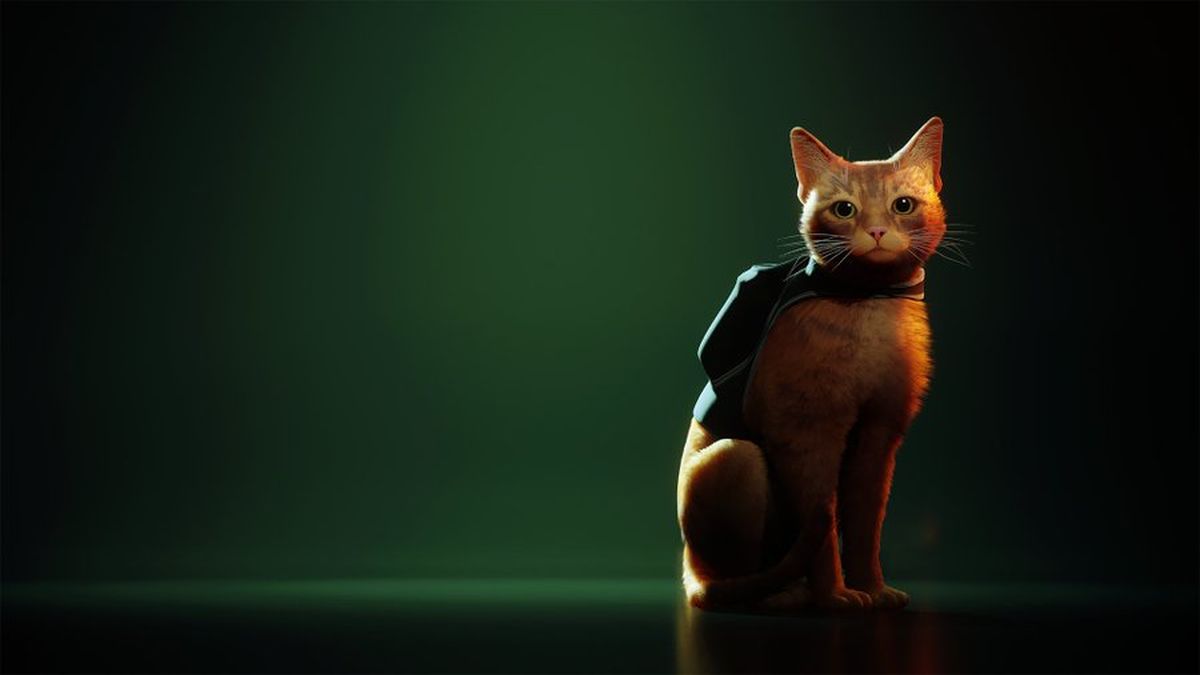 Stray - Jogo do Gato no Xbox [#stray #xboxseriesx] 