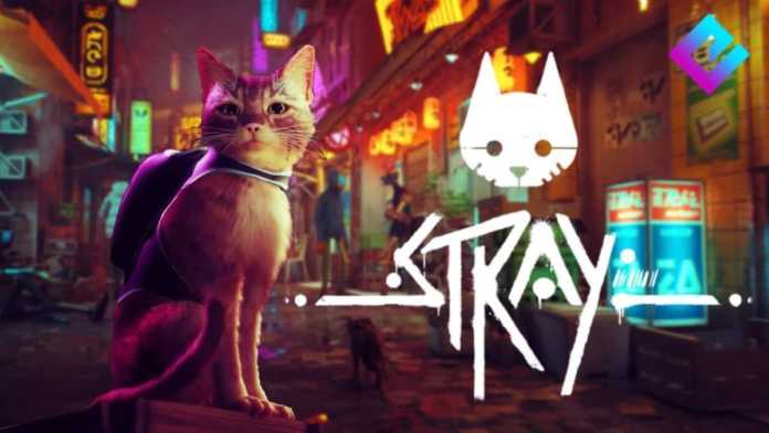 Stray: jogo do gato quebrou recorde de usuários simultâneos na Steam para a  desenvolvedora 