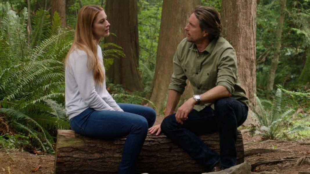 Virgin River 4ª temporada netflix assistir online