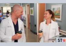 assistir Grey's Anatomy 18ª temporada online Star Plus