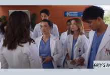 assistir Grey's Anatomy 19x01 online legenda 19ª temporada