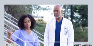 assistir Grey’s Anatomy 19x02 online legendado 19ª temporada