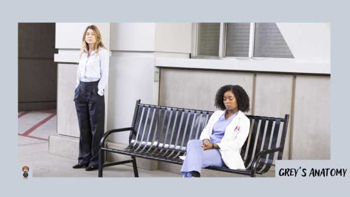 Grey's Anatomy 19x03 online assistir legendado 19x3