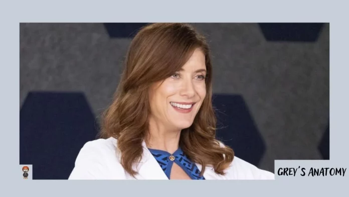 Addison Montgomery retorna Greys Anatomy Grey's