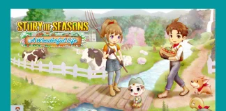 Harvest Moon Remake Story of Seasons A Wonderful life