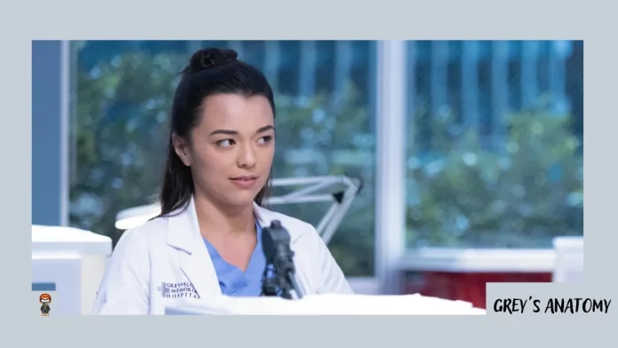 assistir Grey’s Anatomy 19x06 online legendado 19ª temporada