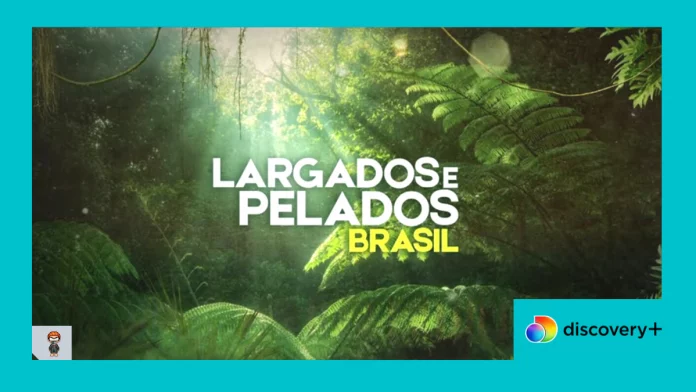 Largados e Pelados Brasil discovery plus Largados e pelados brasil 2 temporada Largados e pelados Brasil assistir online