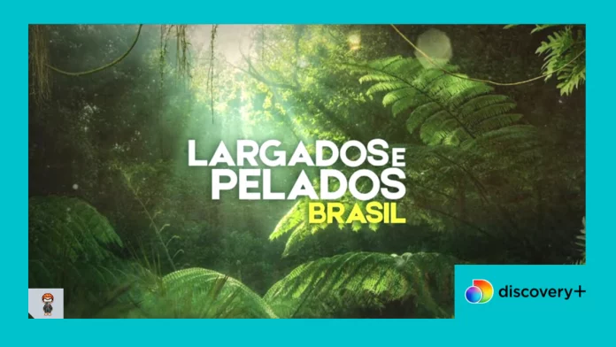 largados_e_pelados_brasil_2_temporada Largados e Pelados Brasil discovery plus Largados e pelados brasil 2 temporada Largados e pelados Brasil assistir online