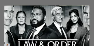 Law & Order globoplay Law & Order 21 temporada Law & Order assistir online