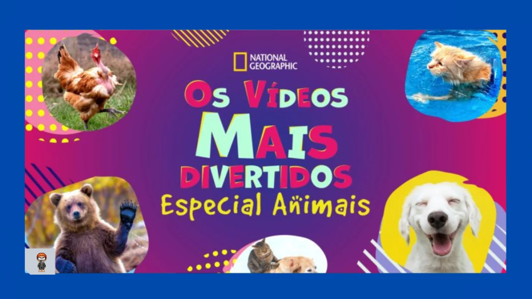 Os Vídeos Mais Divertidos: Especial Animais disney plus Os Vídeos Mais Divertidos: Especial Animais assistir online