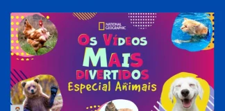 Os Vídeos Mais Divertidos: Especial Animais disney plus Os Vídeos Mais Divertidos: Especial Animais assistir online