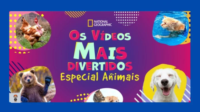 os-videos-mais-divertidos-especial-animais-disney-plus Os Vídeos Mais Divertidos: Especial Animais disney plus Os Vídeos Mais Divertidos: Especial Animais assistir online