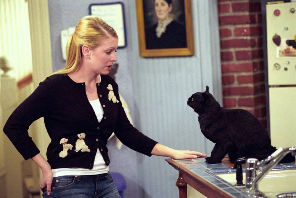 Sabrina, Aprendiz de Feiticeira - episódios dublados já disponíveis! 1 sabrina
