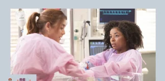 Grey’s Anatomy 19ª temporada episódio 12 19x12 legendado assistir online