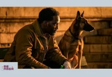 John Wick spin-off futuro 4 5