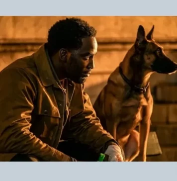 John Wick spin-off futuro 4 5