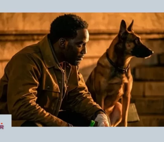 John Wick spin-off futuro 4 5