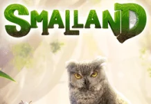 Info game Smalland: Survive the Wilds