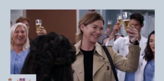 Grey’s Anatomy sony despedida Meredith