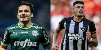 Palmeiras x Botafogo onde assistir ao vivo online de graça