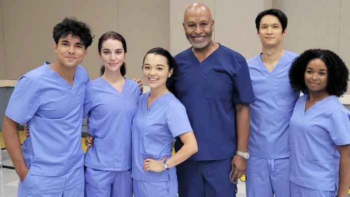 Grey’s Anatomy 19ª temporada data star plus