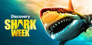 Shark Week 2023 tubarões programação