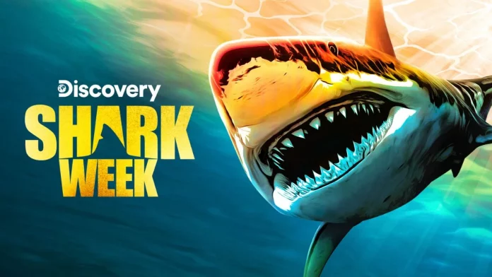 Shark Week 2023 tubarões programação