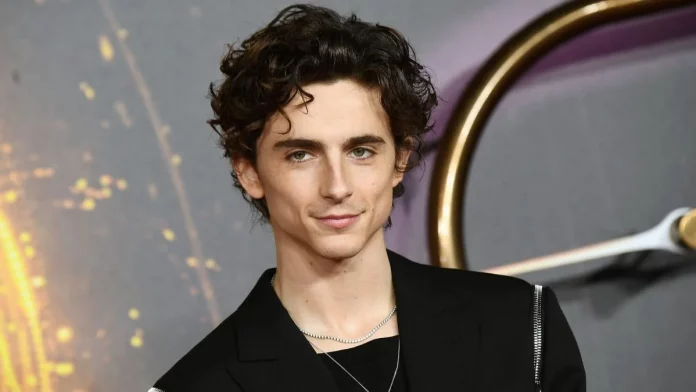 Timothée Chalamet queria estar em barbie Greta Gerwig