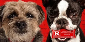 Ruim Pra Cachorro onde assistir online dublado filme completo