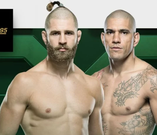 UFC 295 onde assistir ao vivo hoje online