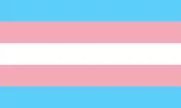 bandeira trans