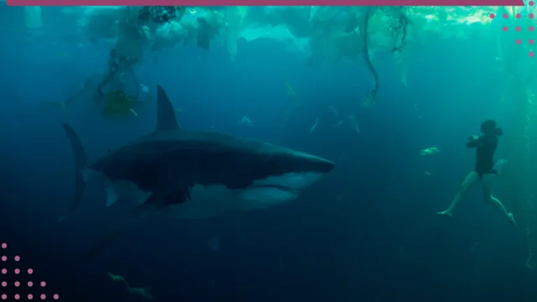 Sob as águas do Sena é um novo Sharknado, porém mal aproveitado!