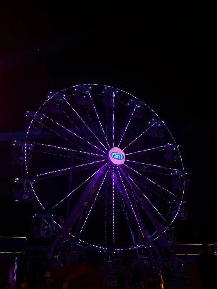 Roda gigante Fini