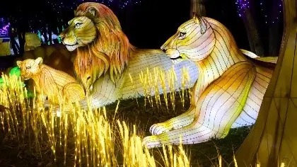 wet5 luzes animais wet n wild super ferias 2025