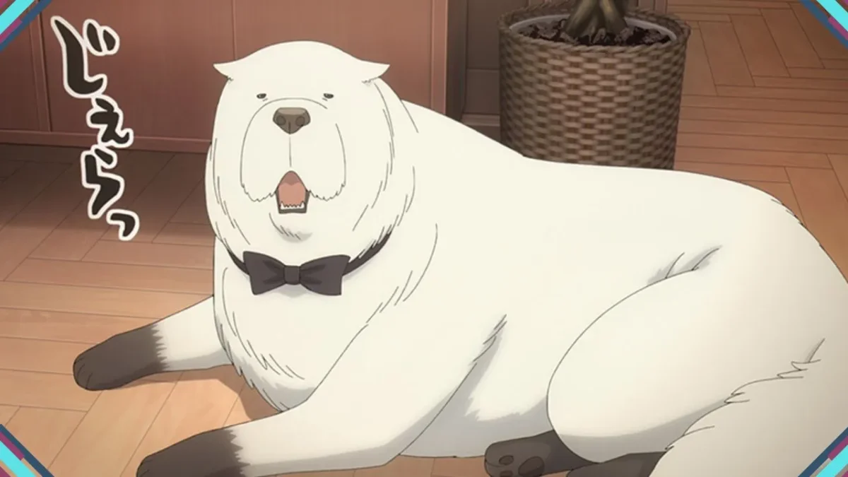 Prévia do episódio final da 3ª temporada de Spy x Family