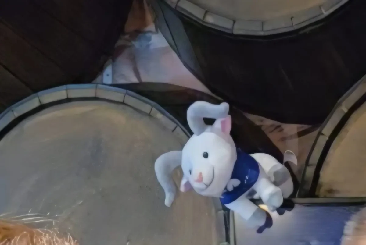 vaquinha tulsa king brindes ccxp25